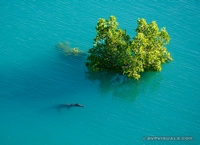 98. The Kimberley<br />Added 10 September 2019